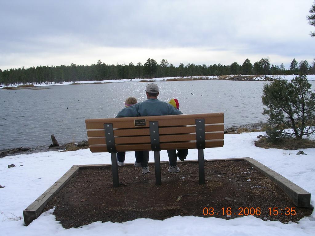 Adair Springs Cabin Pinetop-Lakeside Eksteriør bilde