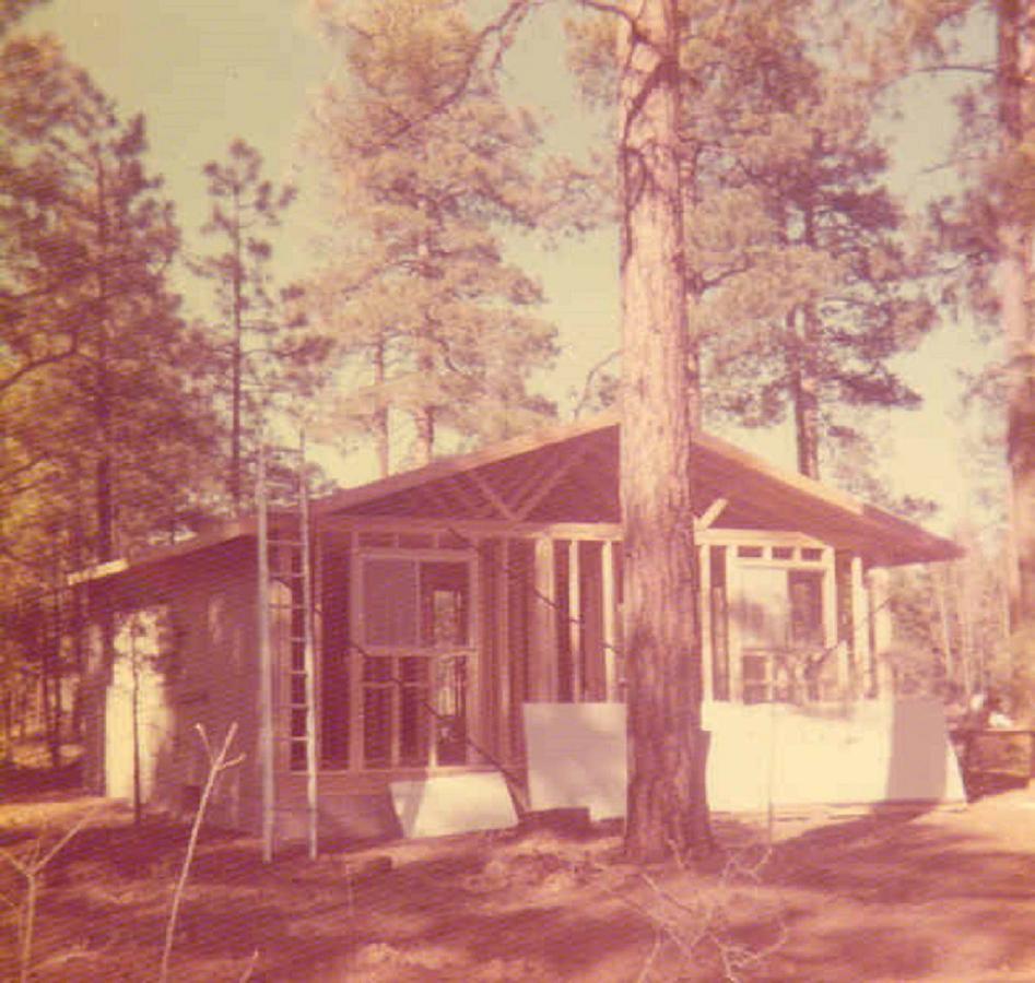 Adair Springs Cabin Pinetop-Lakeside Eksteriør bilde